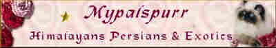mybanner