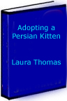 persian kitten adoption