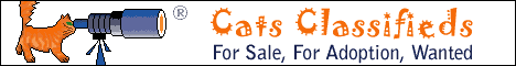 cat banner