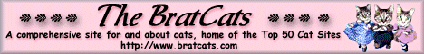 cat banner