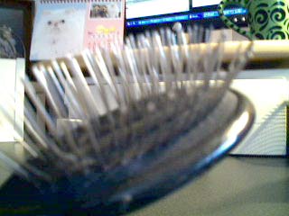 cat brush