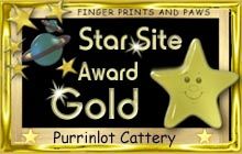 top site award