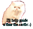 kitty guide