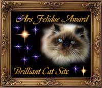 our newest award