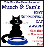 top site award