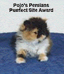 Pojo Purrfect Award