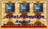 top site award