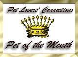 top site award