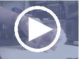 Tube Feed Kitten Video