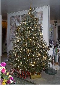 Christmas tree 1998