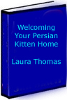 Persian Kitten Home